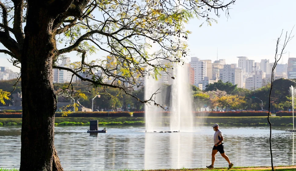Parque do Ibirapuera